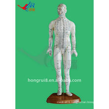 HR-505 Human Acupuncture Point Model 46CM,acupuncture and model